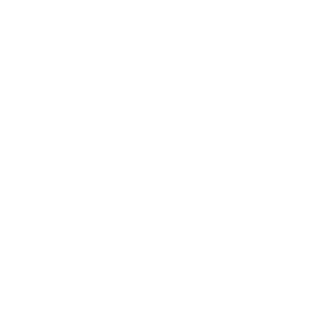 AH-IHWT-WHITE ALTER HORSE EQUICOACHING