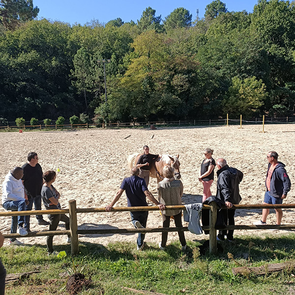 ALTER-HORSE-EQUICOACHING-IMG20220922115722 leadership