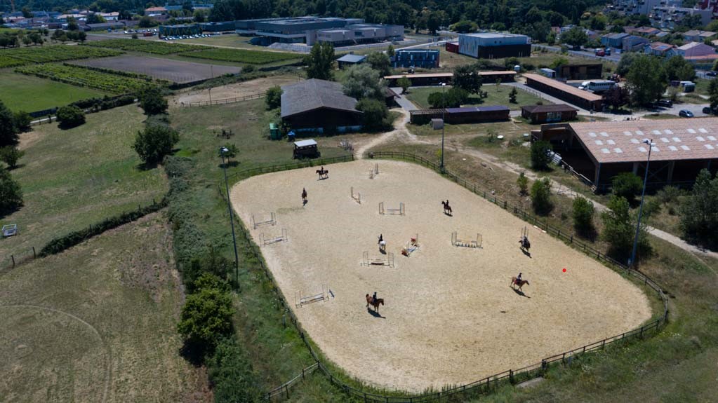 alter-horse-equicoaching-eperon-ornon-bordeaux2 Equicoaching Bordeaux<br />